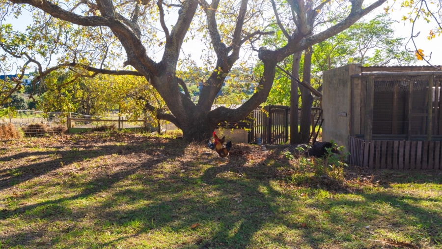 4 Bedroom Property for Sale in Napier Western Cape